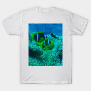 Clownfish T-Shirt